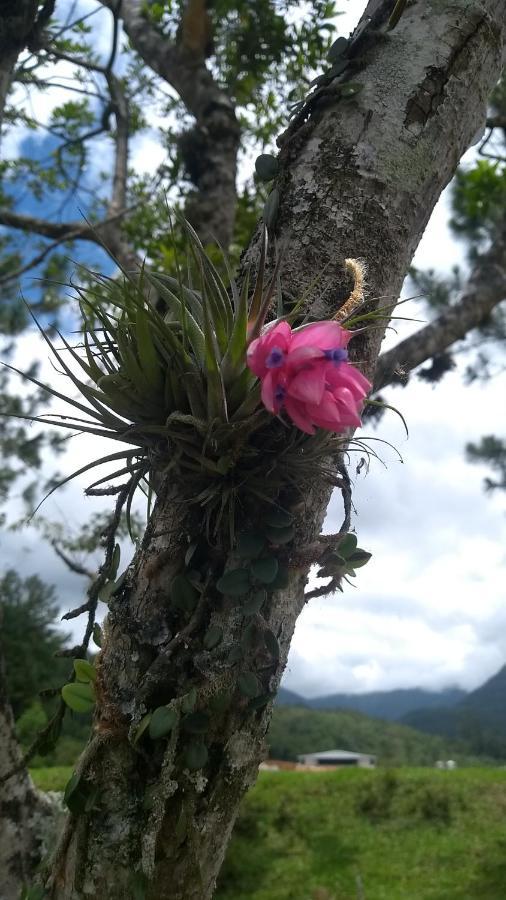 Hostel E Pousada Vale Mirante Da Rocha Timbe do Sul Екстер'єр фото