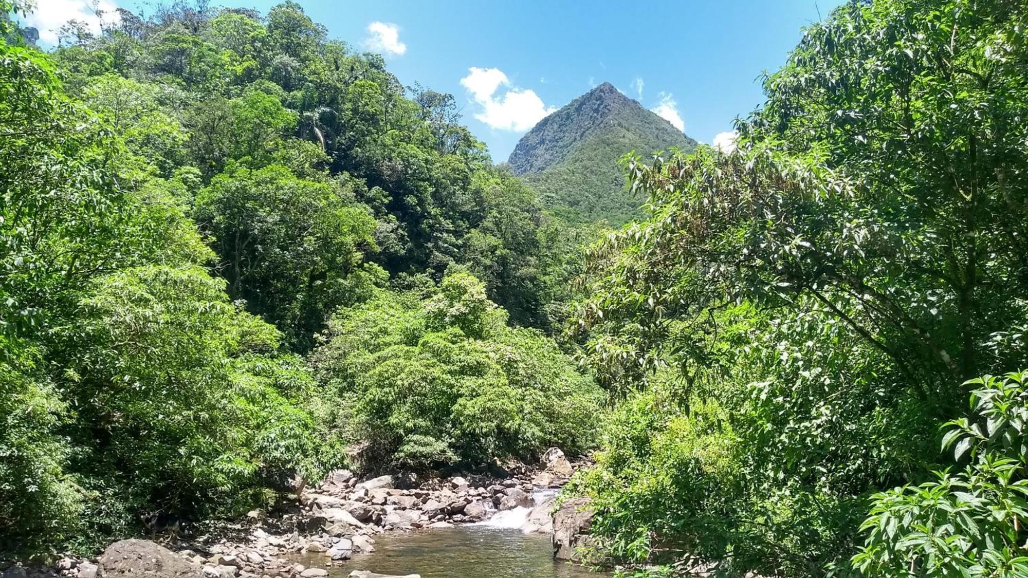 Hostel E Pousada Vale Mirante Da Rocha Timbe do Sul Екстер'єр фото
